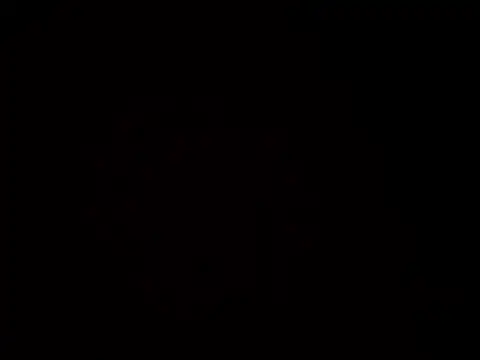 gerracer online show from September 2025 06:14:02 PM