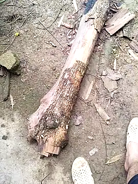 Snapshot of idocudai chatting on February 2026 03:19:01 AM idocudai online show from February 2026 03:19:01 AM