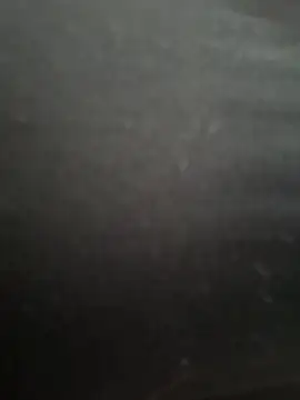 PaulinaDuarte online show from December 2025 01:46:02 PM