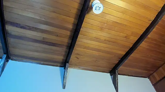 EmiliWilliams online show from March 2026 01:23:01 AM