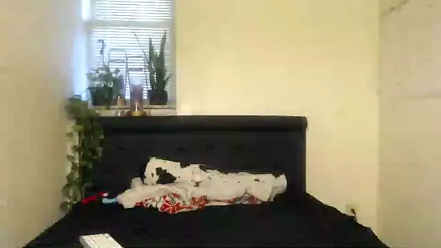 Snapshot of vixenpaisley2 chatting on December 2024 02:58:02 AM vixenpaisley2 online show from December 2024 02:58:02 AM