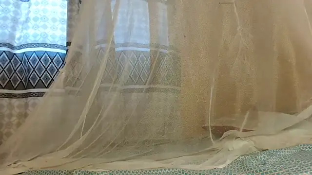 titi fiesta online show from February 2026 12:56:01 PM