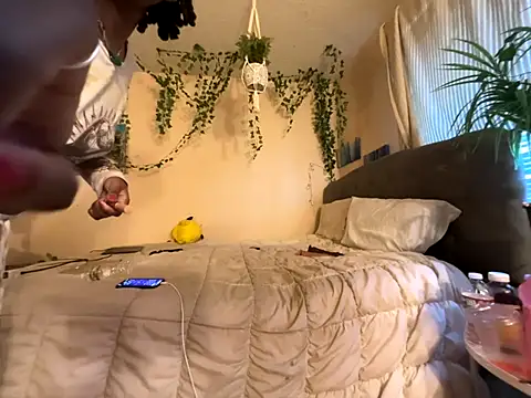 magicalc00ch online show from November 2025 01:50:02 PM