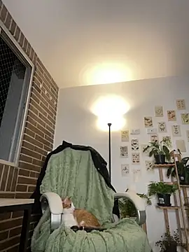 Snapshot of 6nalanie chatting on December 2024 12:44:01 AM 6nalanie online show from December 2024 12:44:01 AM