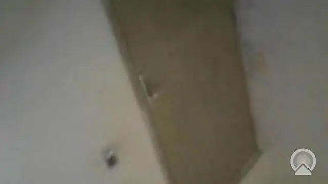 pikalindaxx online show from June 2026 08:53:01 PM
