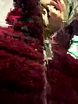 casalinga88 online show from December 2025 07:01:01 AM