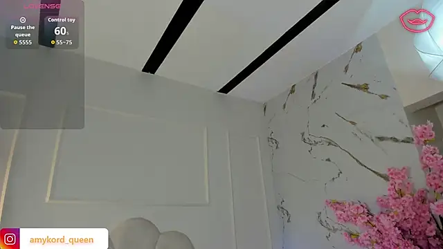 Amykord online show from November 2025 11:47:02 AM