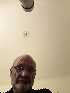 ShyDave81 online show from July 2026 03:08:01 AM