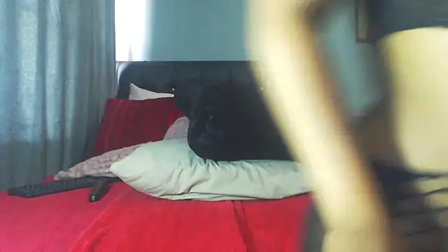 Fiercefoxxy online show from October 2025 07:28:02 AM