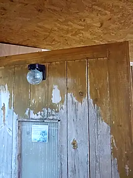 daiwantu online show from December 2025 03:49:02 PM