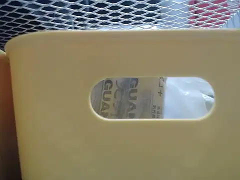 lovense test04 online show from February 2026 08:15:01 AM