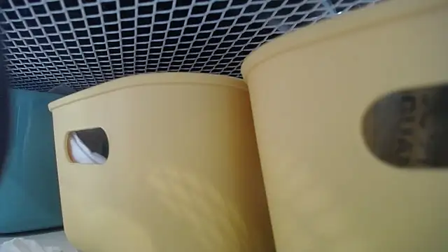 lovense test04 online show from February 2026 07:30:01 AM