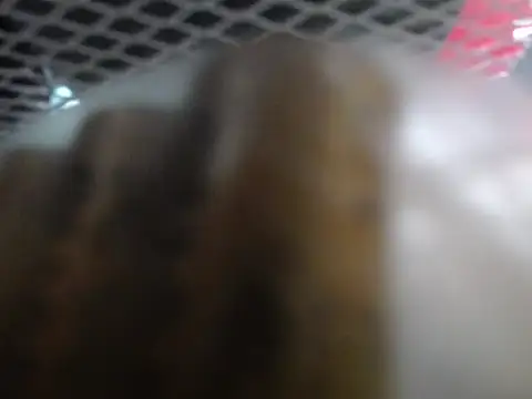 lovense test04 online show from January 2026 02:05:02 AM