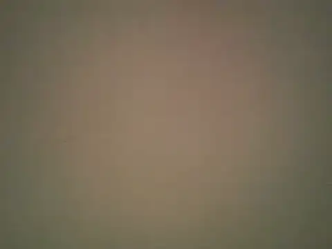 lovense test04 online show from October 2025 02:33:02 AM