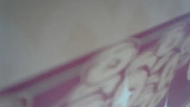 lovense test04 online show from April 2026 03:30:02 AM