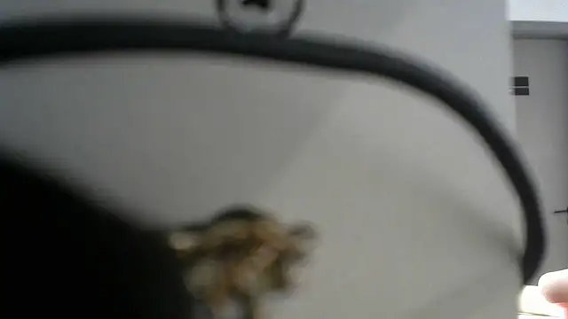 lovense test04 online show from September 2025 09:57:01 AM