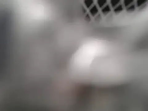 lovense test04 online show from March 2025 02:25:02 AM