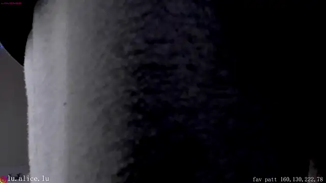 alicelu  online show from February 2025 11:55:01 AM