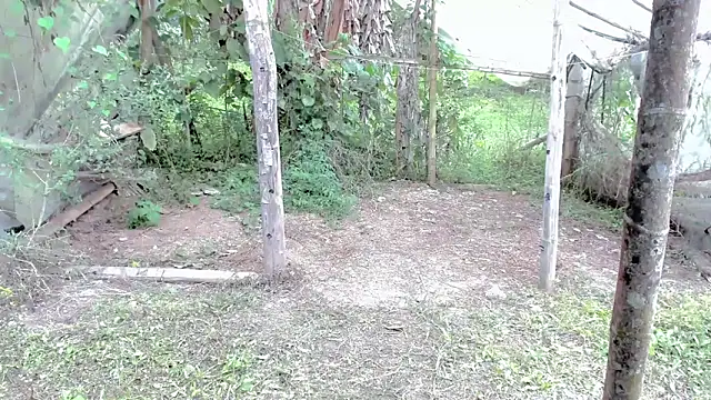 Snapshot of tayiro_r chatting on October 2025 05:12:02 PM tayiro r online show from October 2025 05:12:02 PM