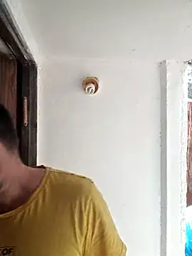 Snapshot of zefside42 chatting on October 2025 12:39:02 PM zefside42 online show from October 2025 12:39:02 PM