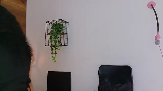 memphiswilliam online show from January 2026 02:59:01 AM