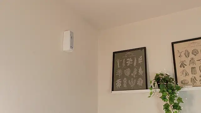 memphiswilliam online show from February 2026 04:21:02 AM