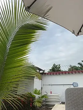 Snapshot of Ema_azel chatting on February 2025 02:00:01 PM Ema azel online show from February 2025 02:00:01 PM