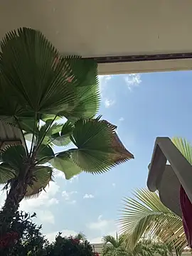 Snapshot of Ema_azel chatting on March 2025 02:21:02 PM Ema azel online show from March 2025 02:21:02 PM