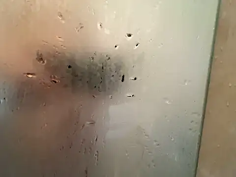 shiro 3 online show from February 2026 04:47:01 AM