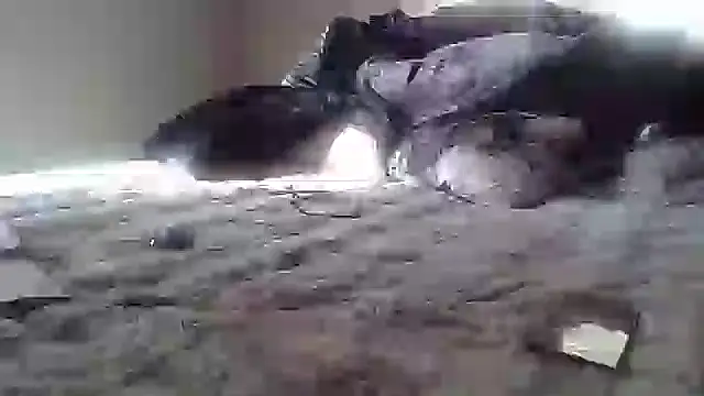 Snapshot of cassieleeknight11 chatting on January 2025 02:39:01 PM cassieleeknight11 online show from January 2025 02:39:01 PM