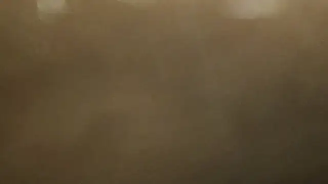 Alphapimmelchen online show from February 2025 04:05:02 PM