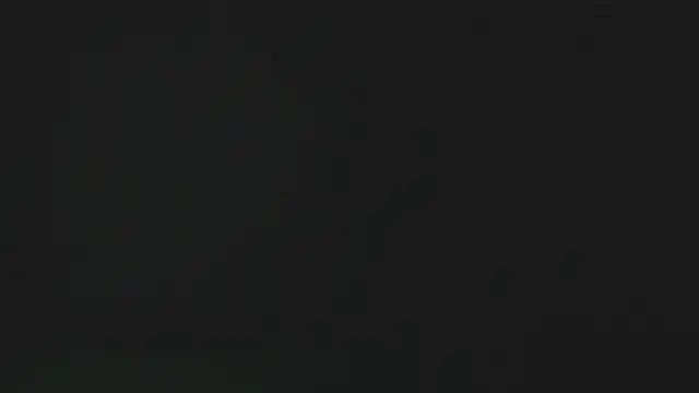 eleecttraa 12 online show from January 2026 10:08:01 AM