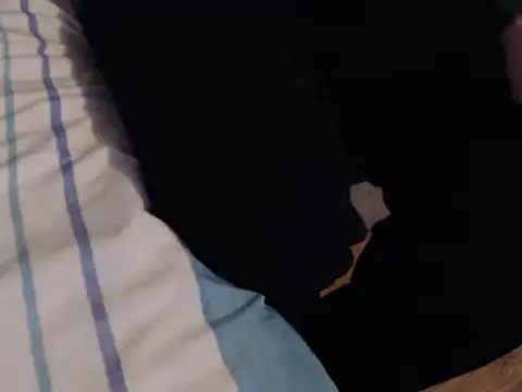 FleshlightFan online show from November 2025 04:22:02 PM