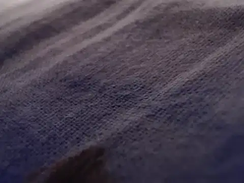 Snapshot of FleshlightFan chatting on January 2025 12:47:02 AM FleshlightFan online show from January 2025 12:47:02 AM