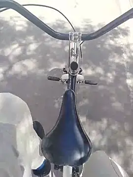 Danielitohot23cm online show from November 2025 04:22:02 PM