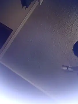 Buddy Cuck online show from November 2025 02:48:01 AM