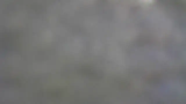 Buddy Cuck online show from January 2026 08:03:01 PM