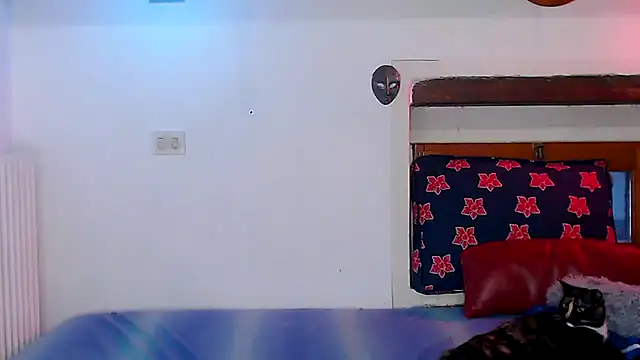 cek 186 online show from December 2025 01:44:02 PM