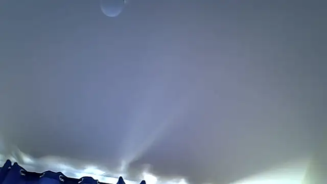 sweet darlli online show from July 2026 11:09:01 AM