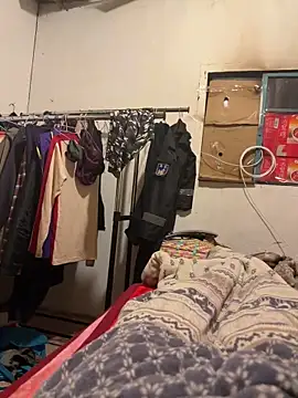 Snapshot of A6229 chatting on February 2026 01:33:02 PM A6229 online show from February 2026 01:33:02 PM