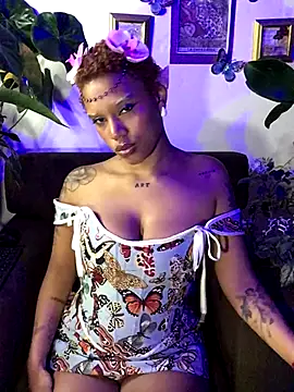 haiiley more online show from November 2025 05:03:01 AM