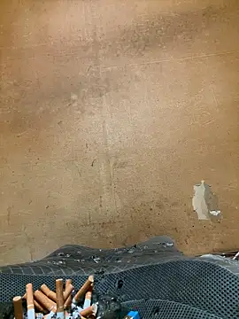 punk0805 online show from October 2025 11:23:01 AM