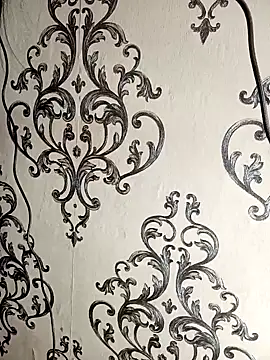 Snapshot of Mishika_Gill chatting on January 2025 12:38:01 PM Mishika Gill online show from January 2025 12:38:01 PM