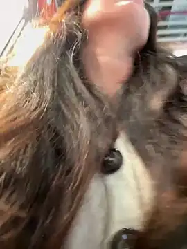 Snapshot of eveangelll chatting on December 2025 09:52:01 AM eveangelll online show from December 2025 09:52:01 AM