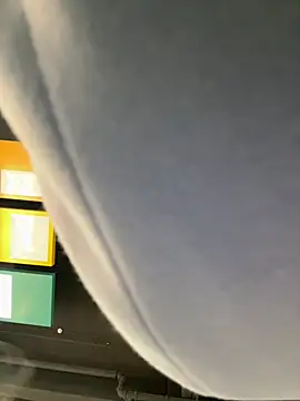 eveangelll online show from March 2026 08:36:01 AM