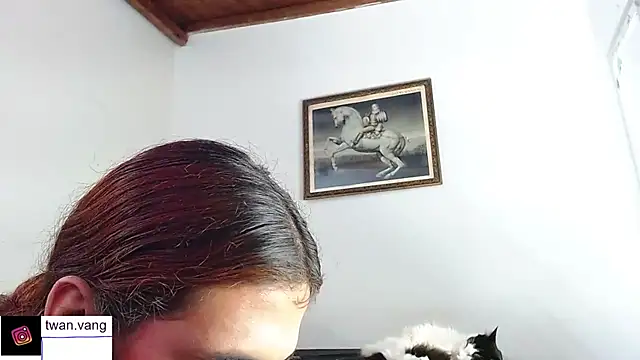 Trix fiore oficial online show from November 2025 03:05:01 AM