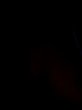 Celeem  online show from March 2026 12:04:01 AM