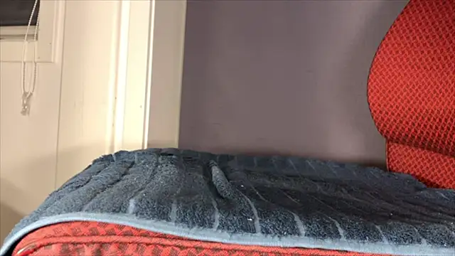 brsrkr online show from December 2025 08:39:01 PM