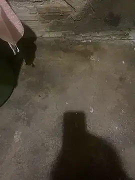 s1437jdjjddjjshbx online show from March 2025 07:57:01 AM