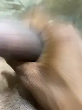 s1437jdjjddjjshbx online show from October 2025 03:49:02 PM